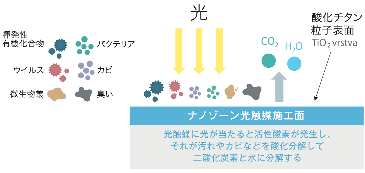 光触媒とは